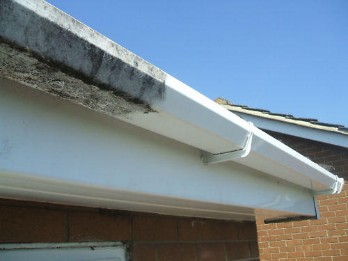 Soffit, facia and gutter cleaning